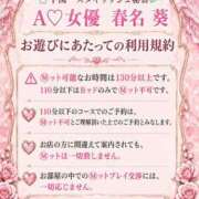 ヒメ日記 2026/09/03 20:29 投稿 春名　葵 スタイリッシュ秘書