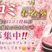 ヒメ日記 2026/09/10 19:49 投稿 春名　葵 スタイリッシュ秘書