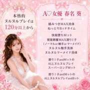ヒメ日記 2026/09/11 10:12 投稿 春名　葵 スタイリッシュ秘書
