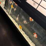 ヒメ日記 2025/07/03 12:25 投稿 ゆい♪ プリティーガール