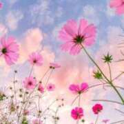 ヒメ日記 2025/12/01 13:15 投稿 ゆい♪ プリティーガール