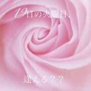 ヒメ日記 2023/12/17 15:04 投稿 ななこ おっぱいイッパイ「オパミド千葉店」