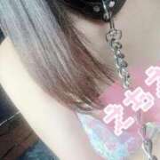 ヒメ日記 2025/05/12 17:59 投稿 はすな サンキュー厚木店