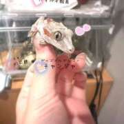 ヒメ日記 2025/03/27 17:57 投稿 タキナ Aroma De Pari（アロマ・デ・パリ）