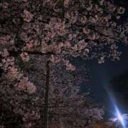 ヒメ日記 2025/04/05 18:31 投稿 せいか イキなり生彼女from大宮