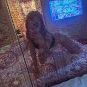 ヒメ日記 2025/06/07 18:20 投稿 せいか イキなり生彼女from大宮