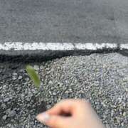 ヒメ日記 2025/08/19 17:30 投稿 せいか イキなり生彼女from大宮