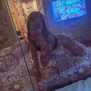 ヒメ日記 2025/10/01 22:40 投稿 せいか イキなり生彼女from大宮