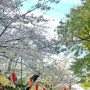 ヒメ日記 2026/04/04 12:20 投稿 せいか イキなり生彼女from大宮