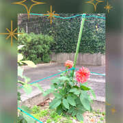 ヒメ日記 2024/12/08 10:55 投稿 かいり 尼崎人妻援護会