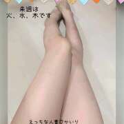 ヒメ日記 2025/02/21 07:05 投稿 かいり 尼崎人妻援護会