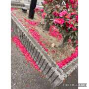 ヒメ日記 2025/03/09 19:13 投稿 かいり 尼崎人妻援護会