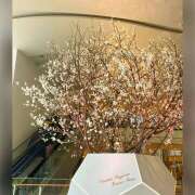 ヒメ日記 2025/03/13 14:20 投稿 かいり 尼崎人妻援護会