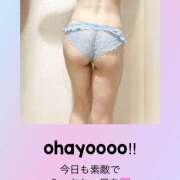 ヒメ日記 2025/03/27 07:02 投稿 かいり 尼崎人妻援護会