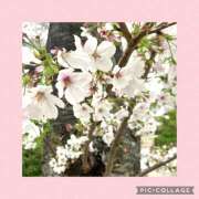 ヒメ日記 2025/04/12 07:04 投稿 かいり 尼崎人妻援護会