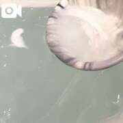 ヒメ日記 2024/12/08 22:44 投稿 【梅田 はな】 梅田ムチSpa女学院