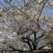 ヒメ日記 2025/04/07 21:14 投稿 【梅田 はな】 梅田ムチSpa女学院