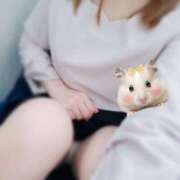 ヒメ日記 2025/07/11 11:06 投稿 あすな 水戸人妻花壇