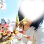 ヒメ日記 2026/04/09 11:20 投稿 あすな 水戸人妻花壇