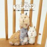 ヒメ日記 2026/04/13 19:48 投稿 あすな 水戸人妻花壇