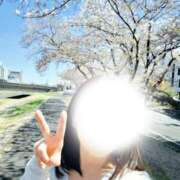 ヒメ日記 2026/04/14 19:40 投稿 あすな 水戸人妻花壇