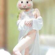 ヒメ日記 2026/04/15 18:17 投稿 あすな 水戸人妻花壇