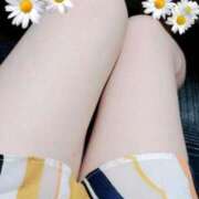 ヒメ日記 2026/07/23 10:04 投稿 あすな 水戸人妻花壇