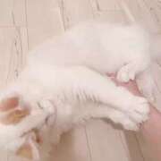 ヒメ日記 2024/12/17 22:09 投稿 六華-りっか- フォーシーズン