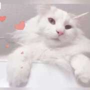 ヒメ日記 2025/01/22 09:08 投稿 六華-りっか- フォーシーズン