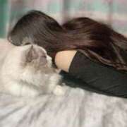 ヒメ日記 2025/02/22 12:08 投稿 六華-りっか- フォーシーズン