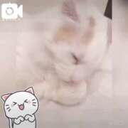 ヒメ日記 2025/03/07 01:58 投稿 六華-りっか- フォーシーズン