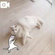 ヒメ日記 2025/03/08 08:48 投稿 六華-りっか- フォーシーズン