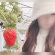 ヒメ日記 2025/03/16 15:38 投稿 六華-りっか- フォーシーズン