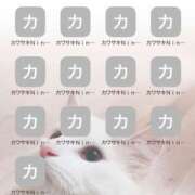 ヒメ日記 2025/03/18 21:08 投稿 六華-りっか- フォーシーズン