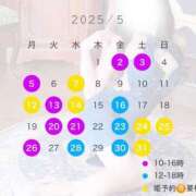 ヒメ日記 2025/04/21 23:28 投稿 六華-りっか- フォーシーズン