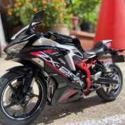 ヒメ日記 2025/04/29 13:48 投稿 六華-りっか- フォーシーズン