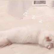 ヒメ日記 2025/05/03 23:58 投稿 六華-りっか- フォーシーズン