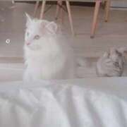 ヒメ日記 2025/05/09 09:28 投稿 六華-りっか- フォーシーズン