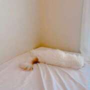 ヒメ日記 2025/05/14 10:40 投稿 六華-りっか- フォーシーズン