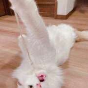 ヒメ日記 2025/07/04 22:28 投稿 六華-りっか- フォーシーズン