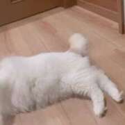 ヒメ日記 2025/07/05 15:28 投稿 六華-りっか- フォーシーズン