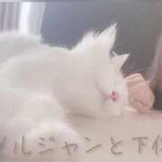 ヒメ日記 2025/08/25 11:08 投稿 六華-りっか- フォーシーズン