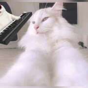 ヒメ日記 2025/10/05 17:38 投稿 六華-りっか- フォーシーズン