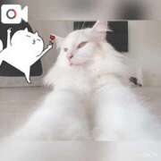 ヒメ日記 2025/10/14 11:08 投稿 六華-りっか- フォーシーズン