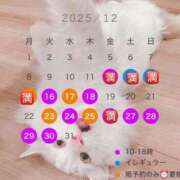 ヒメ日記 2025/12/11 13:08 投稿 六華-りっか- フォーシーズン