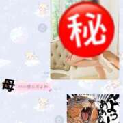 ヒメ日記 2026/01/14 20:18 投稿 六華-りっか- フォーシーズン