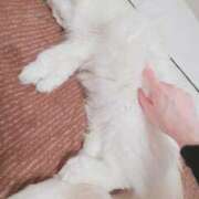 ヒメ日記 2026/02/25 02:38 投稿 六華-りっか- フォーシーズン