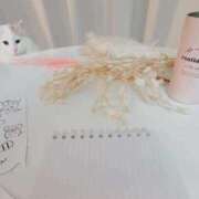 六華-りっか- 【お礼📓🦡📝】 フォーシーズン