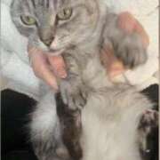 ヒメ日記 2026/03/16 09:48 投稿 六華-りっか- フォーシーズン