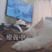 ヒメ日記 2026/03/28 16:58 投稿 六華-りっか- フォーシーズン